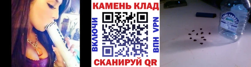 OMG как войти  Ковдор  ГАШ Premium 