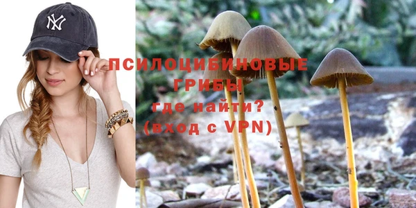 мефедрон Заводоуковск