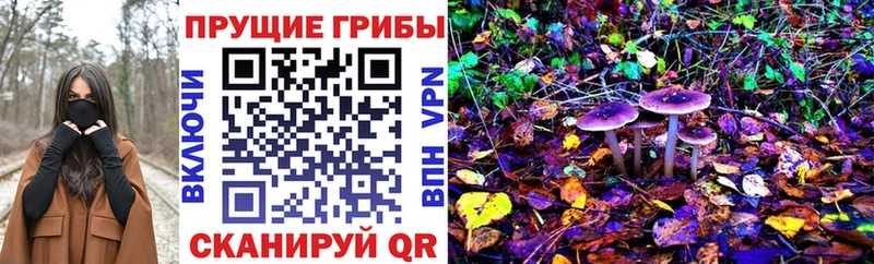 Псилоцибиновые грибы Cubensis  Ковдор 